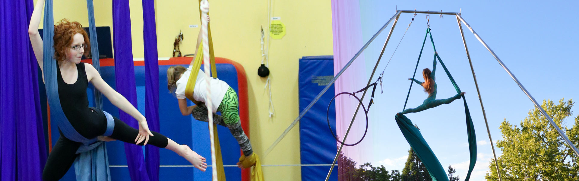 bounce gymnastics aerial circus arts
