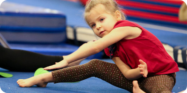 bounce gymnastics ninja zone